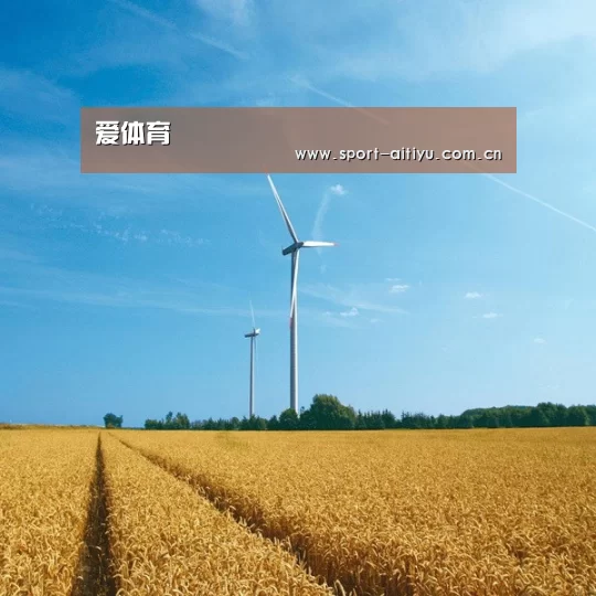 风能