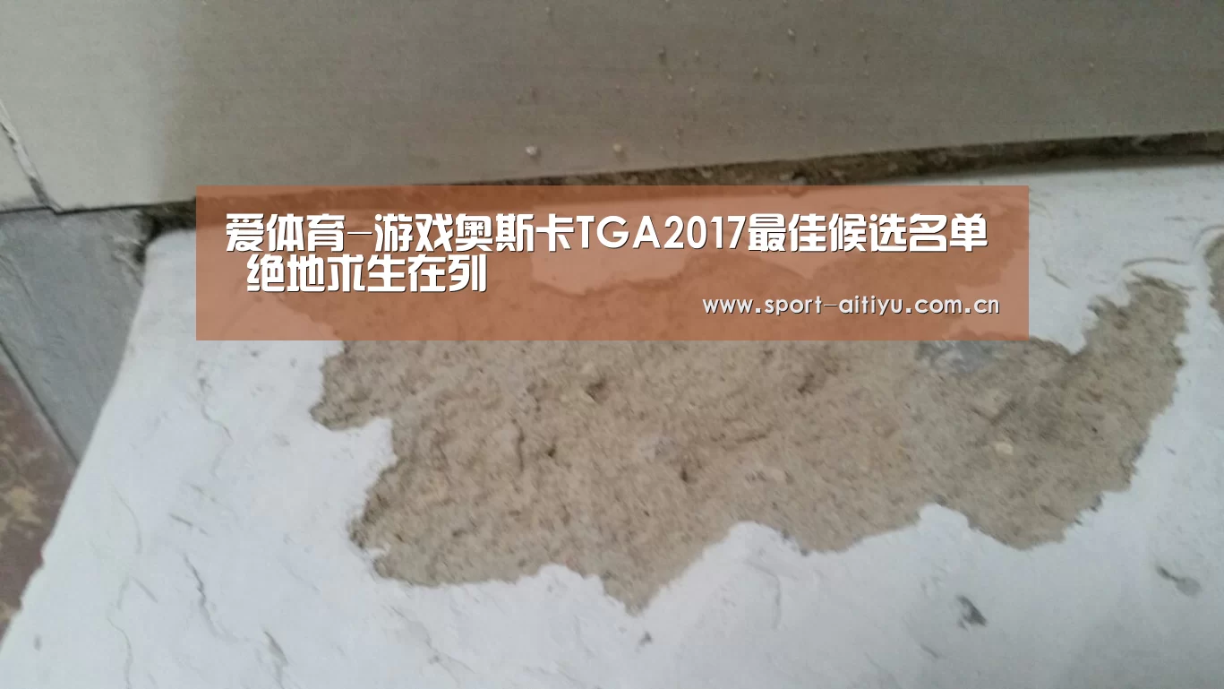爱体育-游戏奥斯卡TGA2017最佳候选名单 绝地求生在列(图2) 爱体育