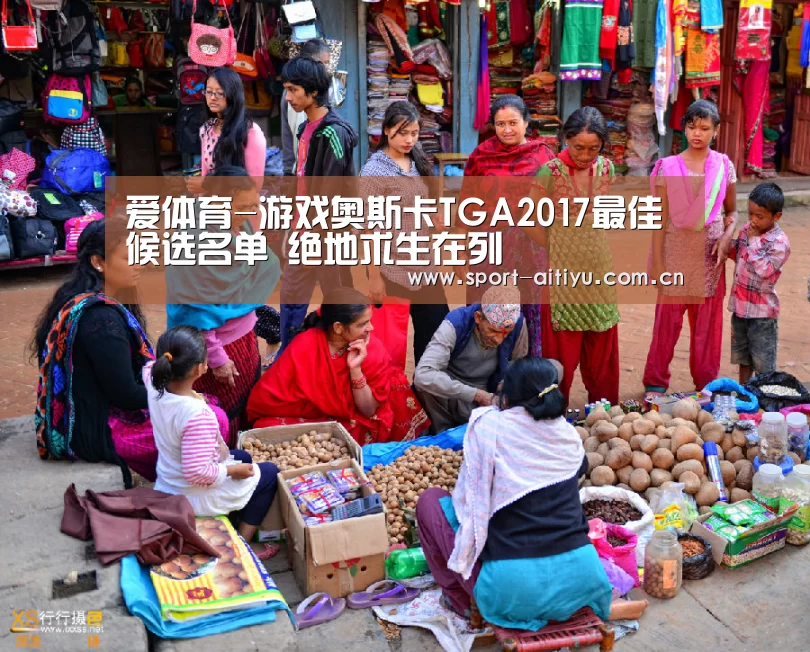爱体育-游戏奥斯卡TGA2017最佳候选名单 绝地求生在列(图3) 爱体育